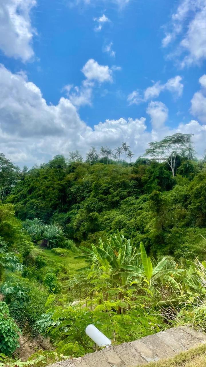 Solana Wellness Retreat Hotell Ubud Exteriör bild